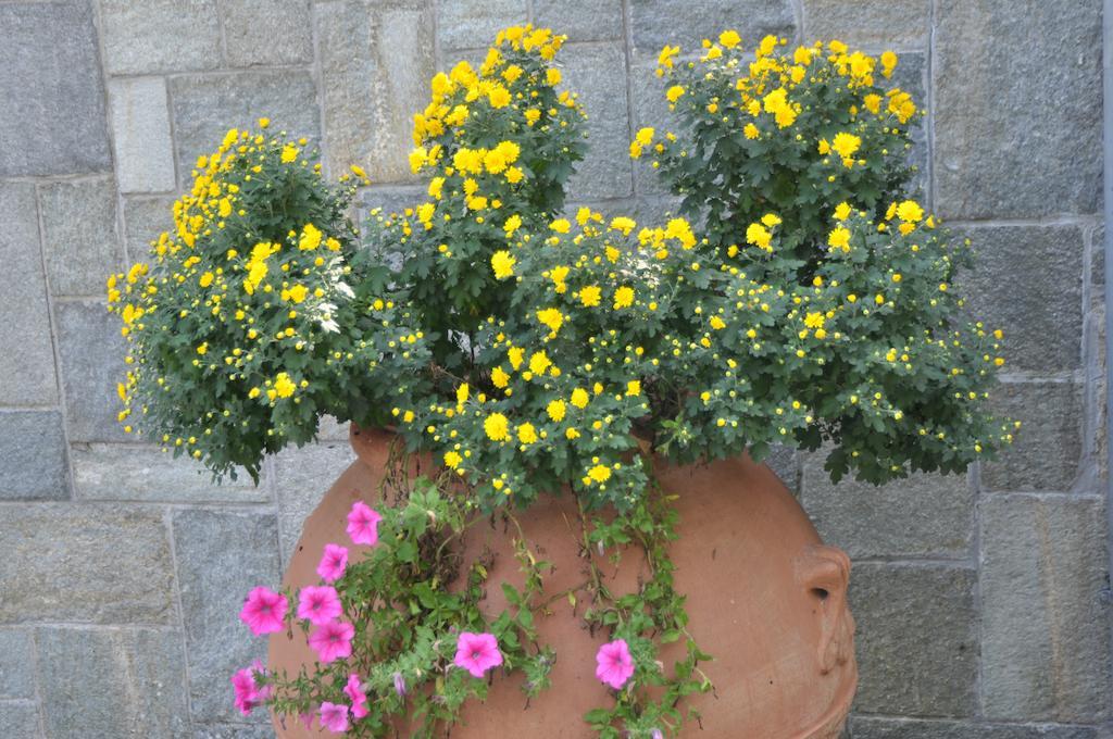 Caterina.C B&B Val della Torre Luaran gambar